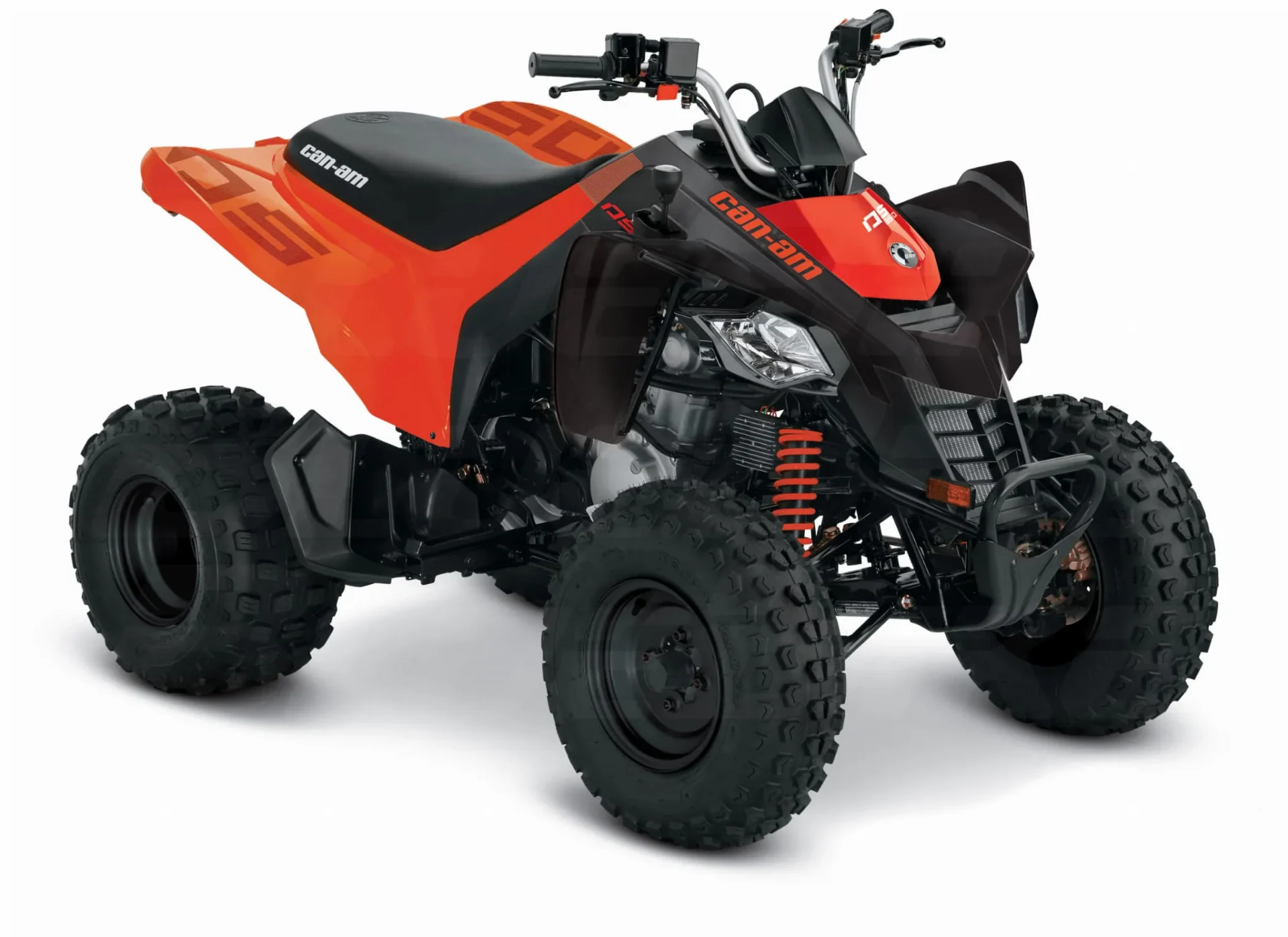 CAN-AM DS STD 250 2024