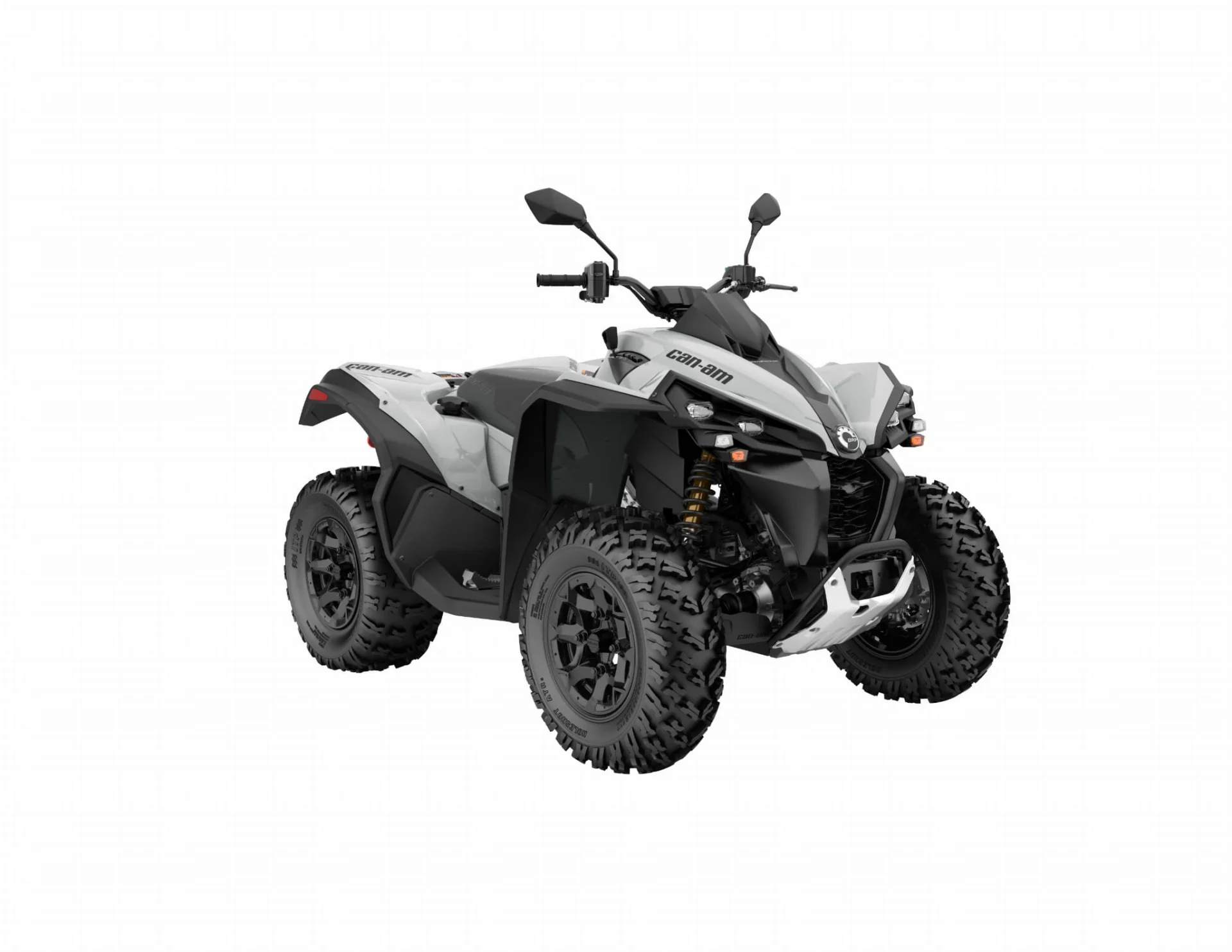 Can-Am Renegade STD T 650 2024